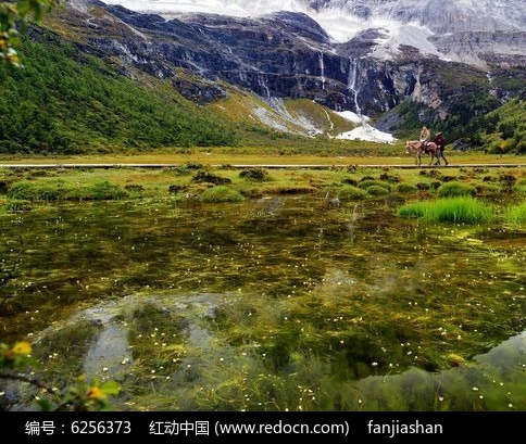 粉象生活怎样邀请客户
