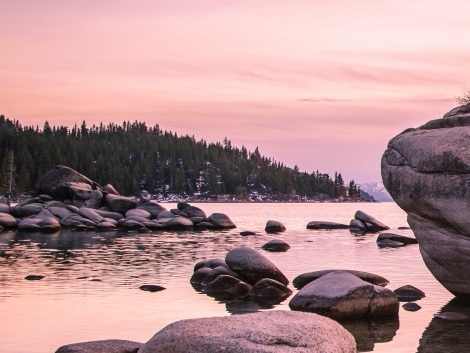 粉象预估优选佣金