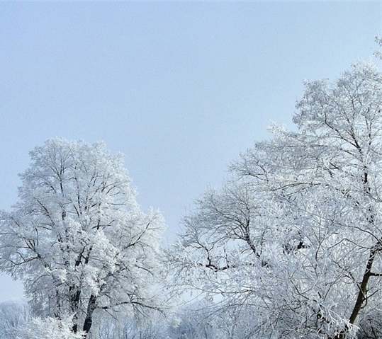 一瓶深粉象相当于几瓶啤酒