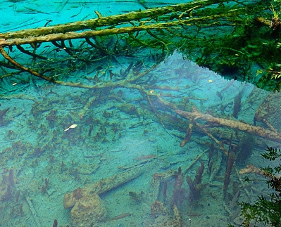 粉象生活赚钱模式