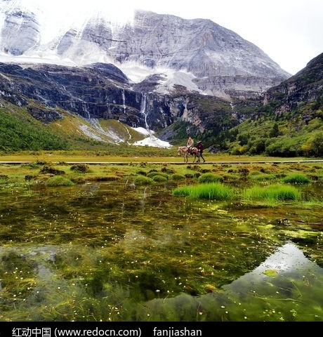 孩子象父母的原因