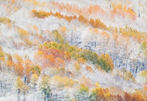 媒体高效的涨粉方式