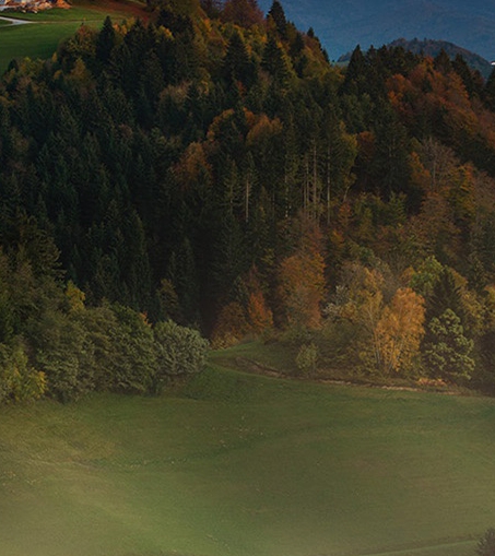 什么样粉象生活能佣金全部的