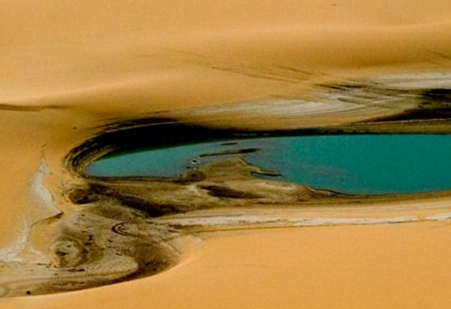 海螺创业小卡片分红