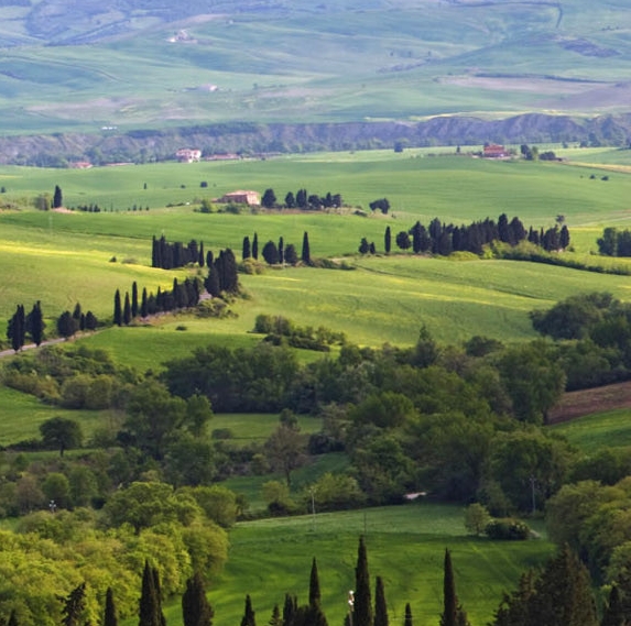 公众号吸粉策略案例