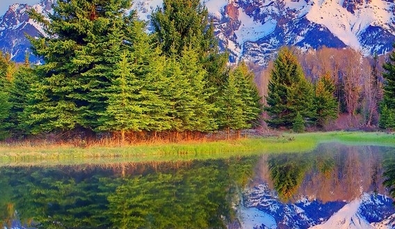 粉象生活邀请id