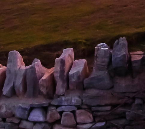 深粉象啤酒16度