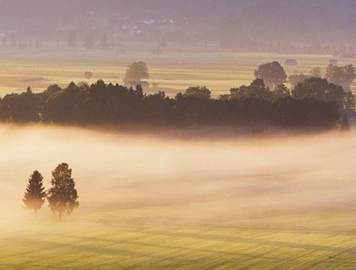 粉象生活怎么重新填邀请码