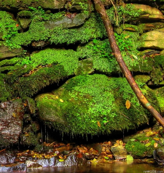 粉象生活真的可以省很多钱吗