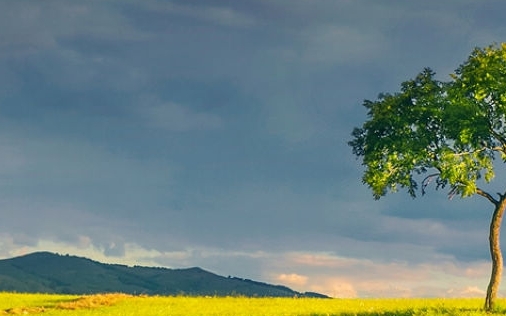 郑州七彩装饰工程有限公司