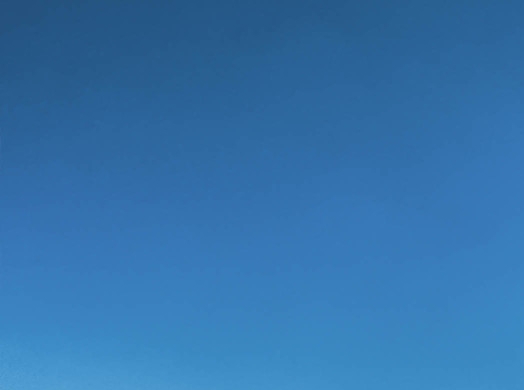 粉象饿了吗订单