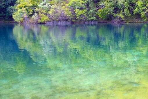 东方购物神象西洋参