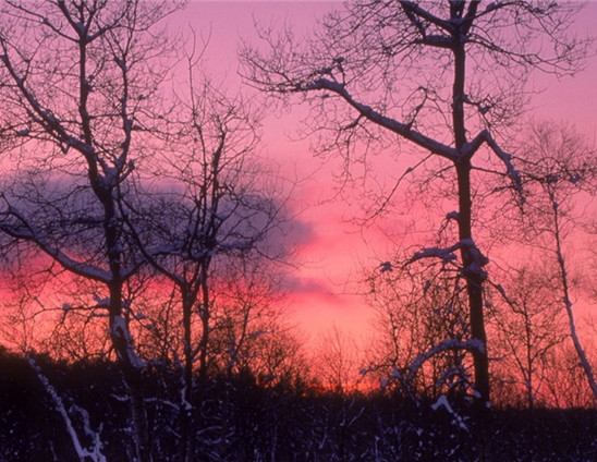 粉象生活买了东西怎么看不到订单