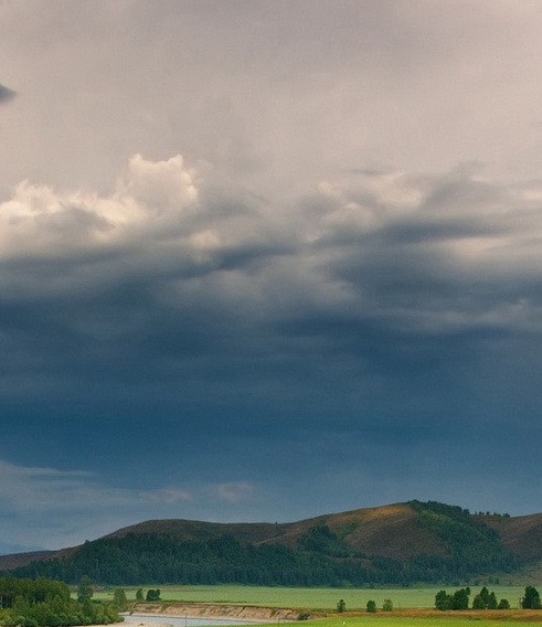 粉象生活是什么