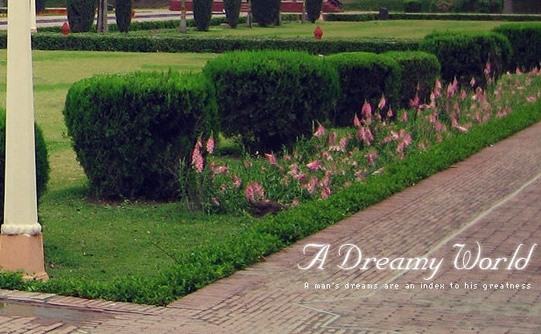 粉象生活优惠卷真的假的