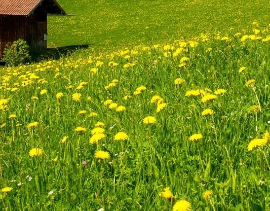 粉象生活赚钱维fxsh33