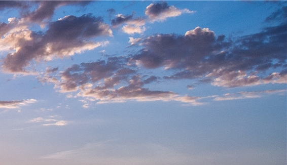 粉象为什么用邀请码