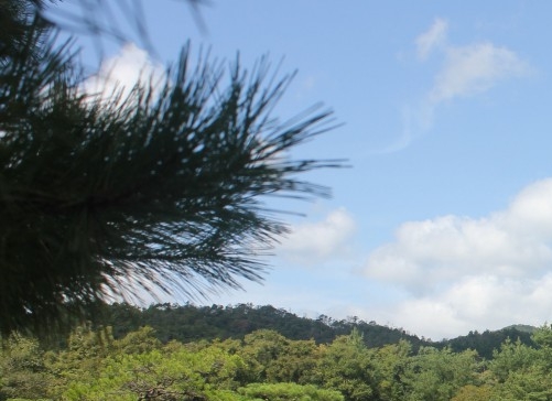 郑州粉象装饰工程有限公司