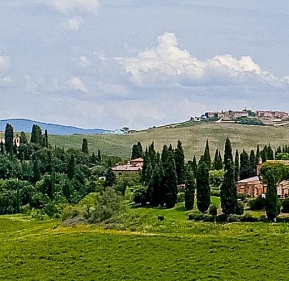 粉象生活分红有几级