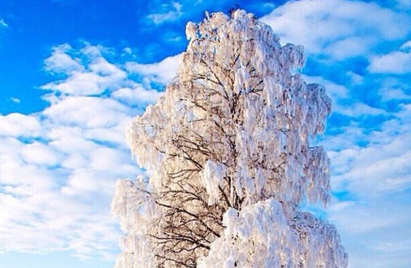 粉象生活官网首页