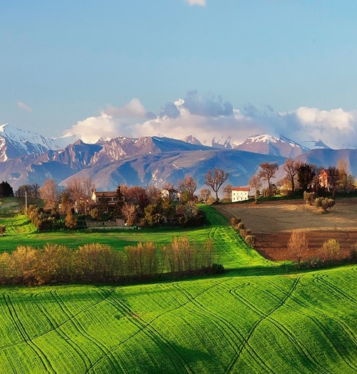粉象生活 高佣联盟
