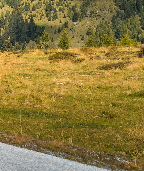 粉象生活怎么联系官方