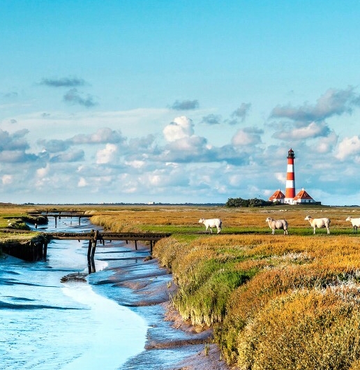 蜜源和粉象生活哪个佣金高
