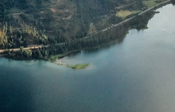 随便填粉象码上家知道吗