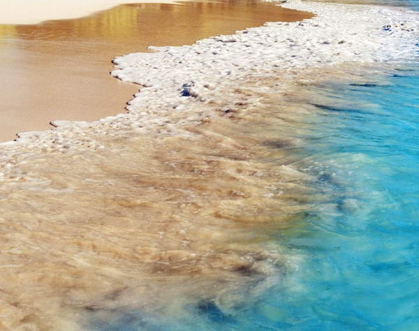 粉象生活怎么免费升级vip