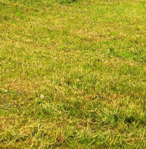 粉象生活怎么赚钱