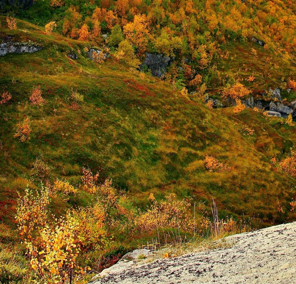 粉象生活vip福利