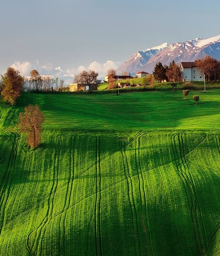 老挝万象越南粉