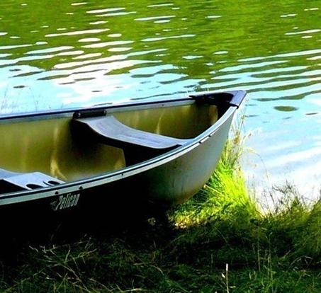 小粉象啤酒哪个好喝