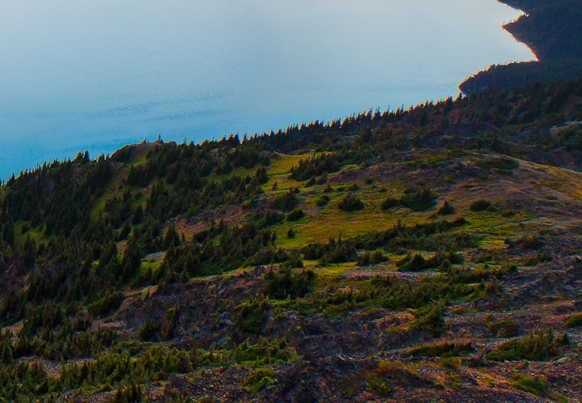 一淘网官网首页登录