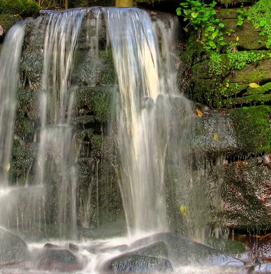 怎么跟进意向客户