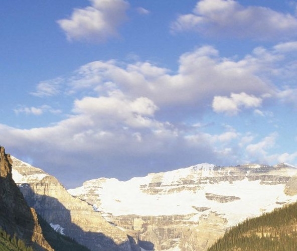 粉象生活如何订单同步