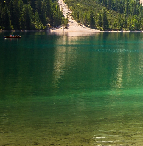 粉象官方邀请码填谁的