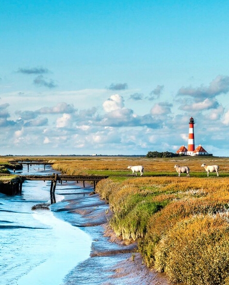 粉象优选怎样先输入地址