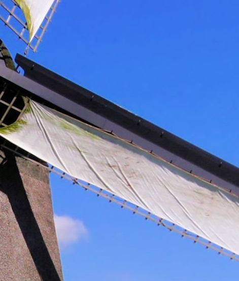 粉象生活经营策略