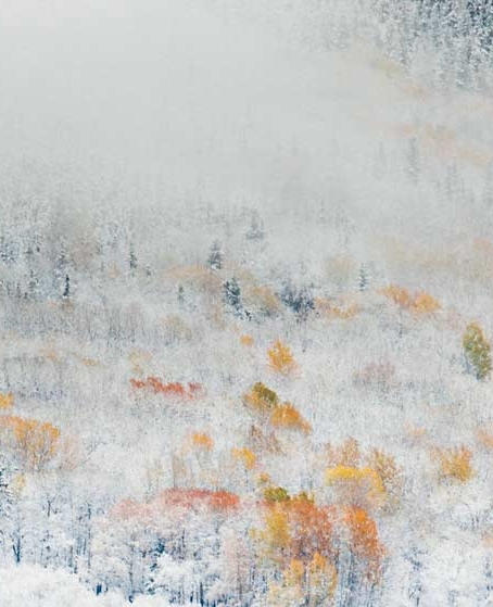 粉象啤酒为啥叫失身酒