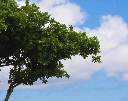 郑州市越之航装饰工程有限公司