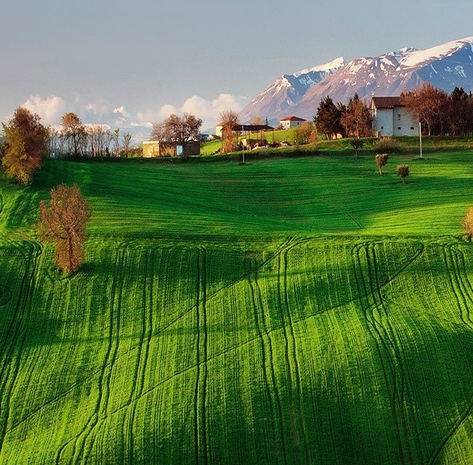 郑州仿越建筑装饰工程有限公司