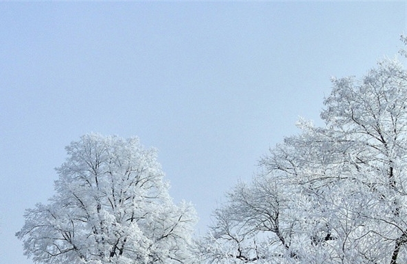怎么样成为粉象生活的VIP