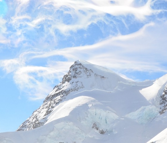 花生日记官网首页