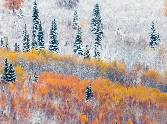 粉象生活官方APP邀请码