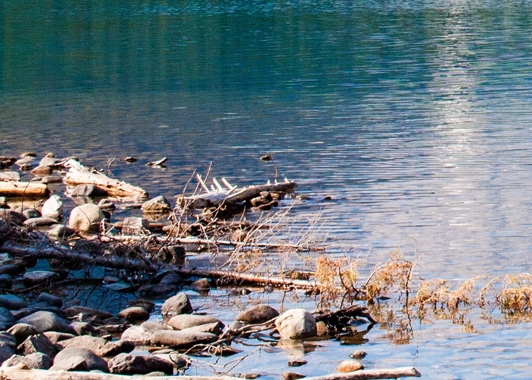 粉象生活怎么购买vip