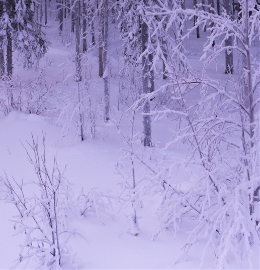 硒鼓四个颜色可以互换吗