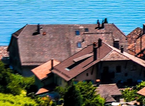 粉象生活购物平台真实吗