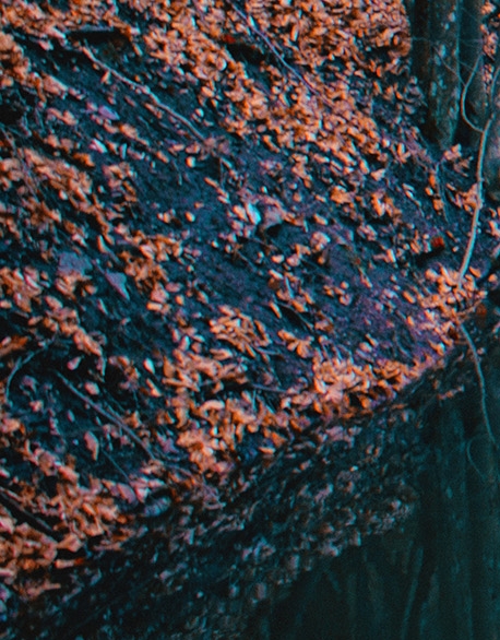 16岁怎么借钱200-500