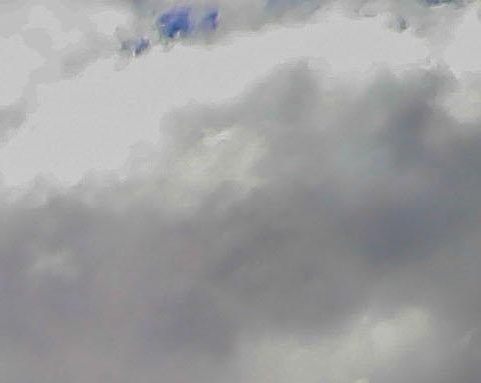 粉象优选佣金是什么